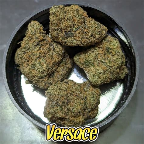 versace weed print|Versace Marijuana Strain Information & Reviews .